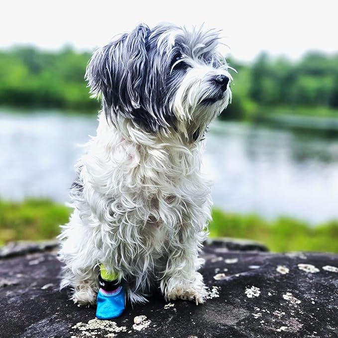 PawFlex Double Dipped Waterproof Dog Socks Comfy Pawz Soft Indoor/Outdoor Dog Booties with Rubberized Bottom| Non-Slip Silicone Grip at Inner Cuff for No Twisting or Sliding Off| Adjustable Strap