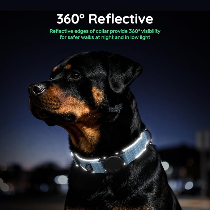 WhoseID Airtag Dog Collar | with Waterproof Air Tag Holder | QR Code Pet ID |Durable Comfortable Oxford Padded | Reflective Collar | for Outdoor Medium Dogs(Blue2,M,13''~19'')