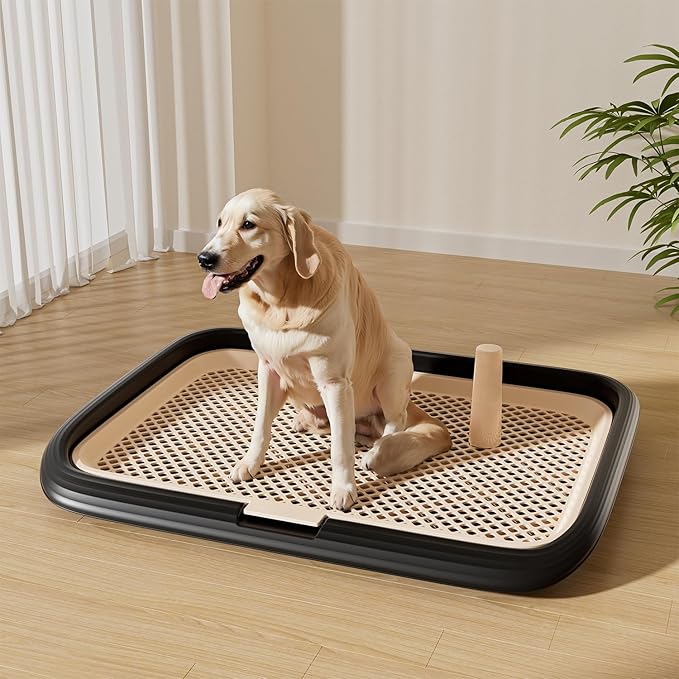 Dog Potty Tray, 23.6"x17.7" Indoor Pet Pee Pad Holder,Puppy Training Holder,Bathroom Dog Litter Box, Pet Toilet for Small and Medium Dogs,Housebreaking Supplies, Pet Products (Green)