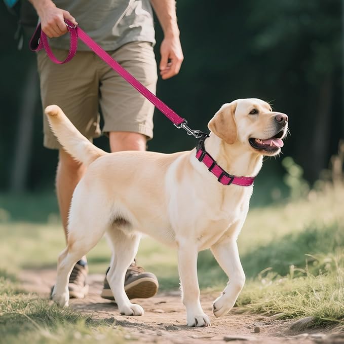 Joytale Reflective Dog Collar, Soft Neoprene Padded, Metal D-Ring, Nylon Pet Collar Adjustable for Extra Large Dogs, Hotpink, XL