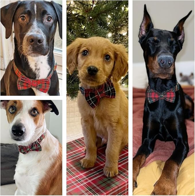 Personalized Dog Collar with Engraved Metal Buckle - Custom Name & Phone Number - Adjustable for Small, Medium, Large Breeds (Christmas Pattern)