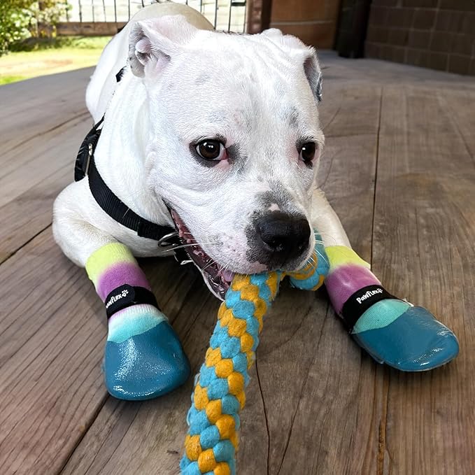 PawFlex Double Dipped Waterproof Dog Socks Comfy Pawz Soft Indoor/Outdoor Dog Booties with Rubberized Bottom| Non-Slip Silicone Grip at Inner Cuff for No Twisting or Sliding Off| Adjustable Strap