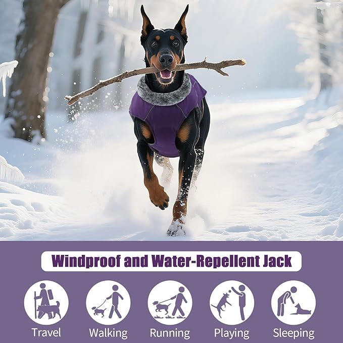 DENTRUN Winter Warm Dog Coat Reflective Jacket with Turtleneck for Cold Weather, Adjustable Buckle Windproof Water Repellent, Thick Snowsuit Fleece Vest for Small, Medium, Large Dogs, Purple, S