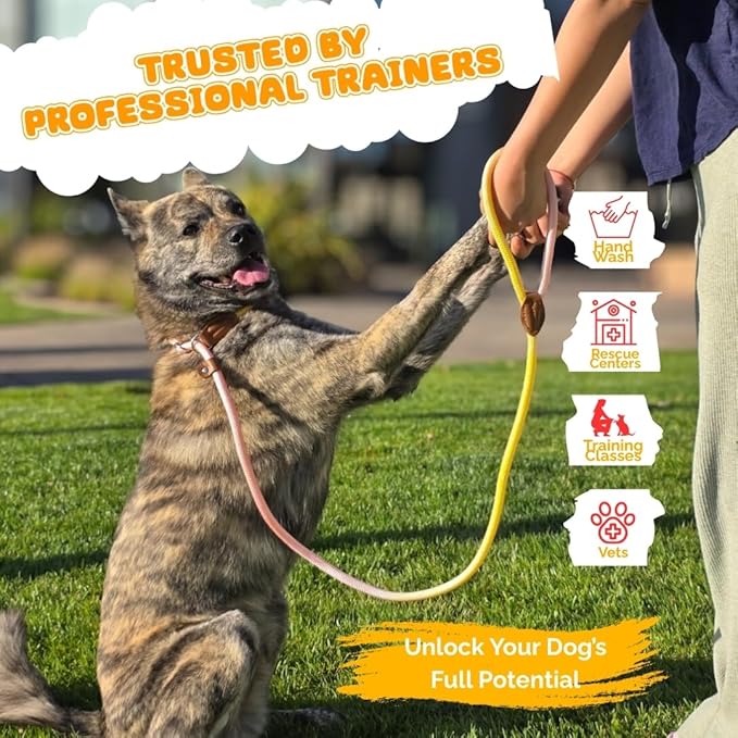 Slip Leads for Dogs, Dog Training Leash Heavy Duty No Pull Dog Leash Comfortable Strong Loop Rope Nylon for Large Medium Small Dogs Puppy… (Pink & Yellow, Large (5 Foot x 5/16") (26-45 lbs))