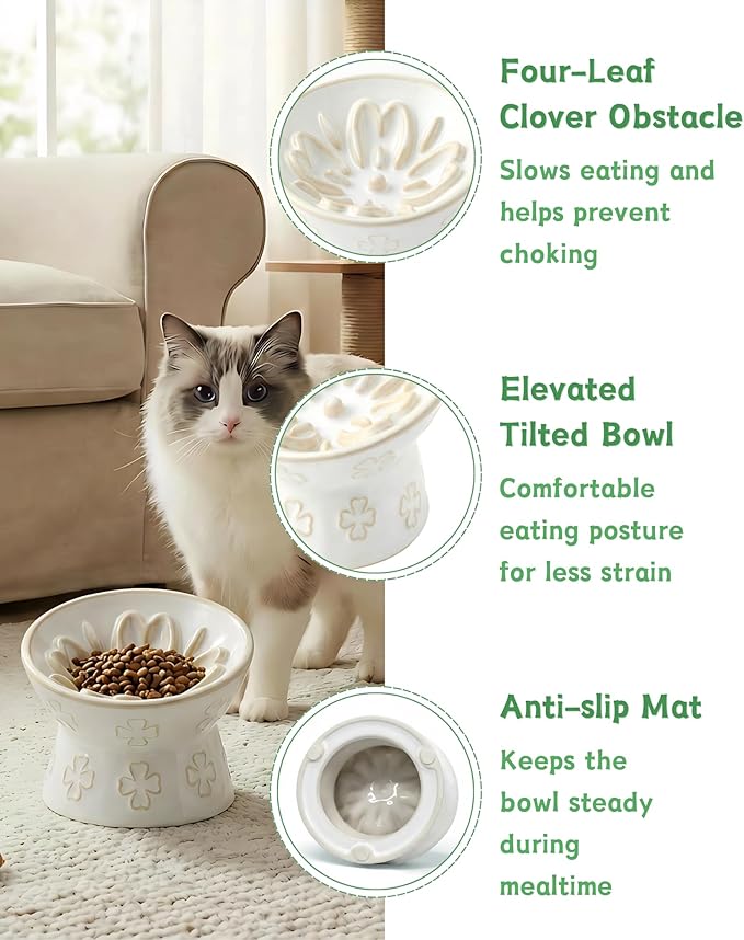 TRUVIC Ceramic Slow Feeder Cat Bowl, Elevated Cat Wet Food Bowl Tilted Design, Raised Slow Feeder Dog Bowl no Black Chin, Four-Leaf Clover Shape for Dry and Wet Food, Jun Blanc