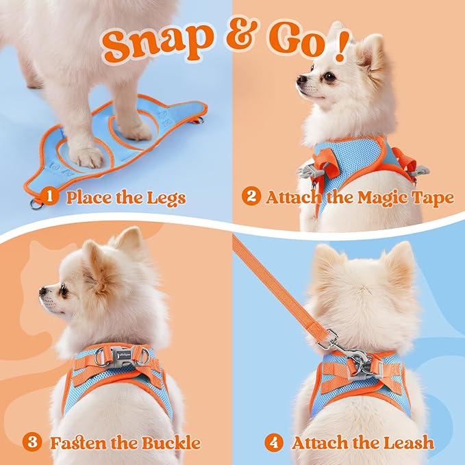 rabbitgoo Dog Harness Small Sized and Leash Set, Step-in Breathable Pet Harness, Soft Walking Reflective Puppy Vest for Small Dogs, Light Blue & Orange, M