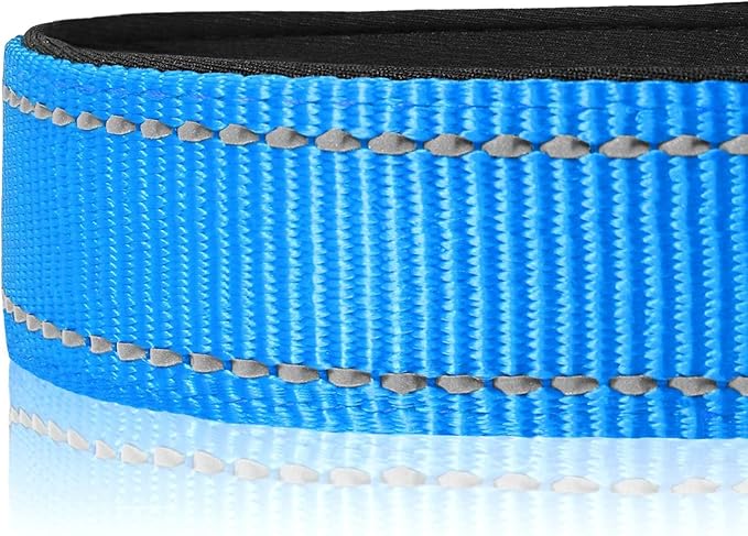 Joytale Reflective Dog Collar, Soft Neoprene Padded, Metal D-Ring, Nylon Pet Collar Adjustable for Extra Large Dogs, SkyBlue, XL