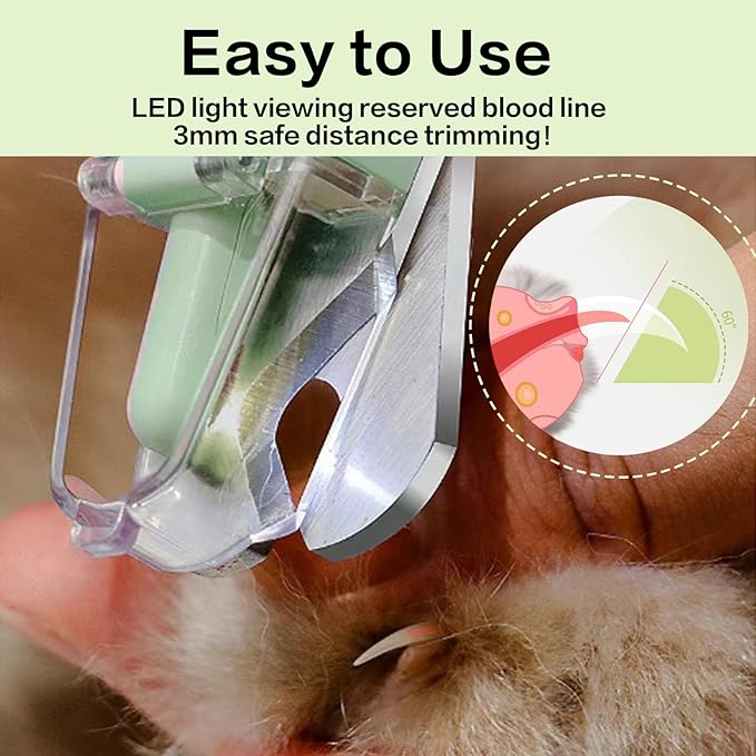 2-in-1 Dog Nail Clippers Trimmers with LED Lights & USB Charging, Electric Dog Nail Grinder for Large Medium Small Dogs Cats Pets（Green）