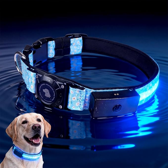 LED AirTag Dog Collar - Brightest Light Up Dog Collars - IP68 Waterproof Air Tag Dog Collar Holder - 1,600 Feet of High Visibility - Magnetic Charging - Dog Lights for Night Walking (Daisy, L)