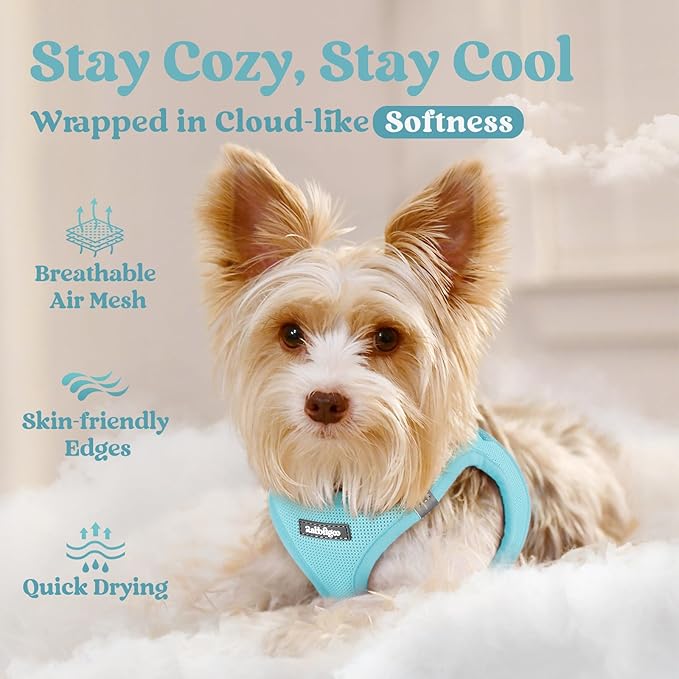 rabbitgoo Small Dog Harness, Step-in Soft Mesh Puppy Vest with Safety Buckle, Breathable Reflective Pet Harness for Small Sized Dogs, Mint Blue XS