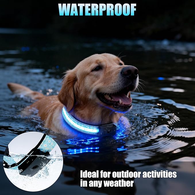 LED Dog Collar - Brightest Light Up Dog Collars - 1,600 Feet of High Visibility - Magnetic Charging - Dog Lights for Night Walking, Daisy Extra Large
