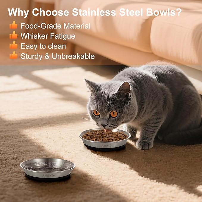 Cat Bowls, 2 Pcs 304 Stainless Steel Cat Bowls for Food and Water with Whisker-Friendly Shallow Design and Non-Slip Silicone Base, Perfect for Cats & Small Dogs