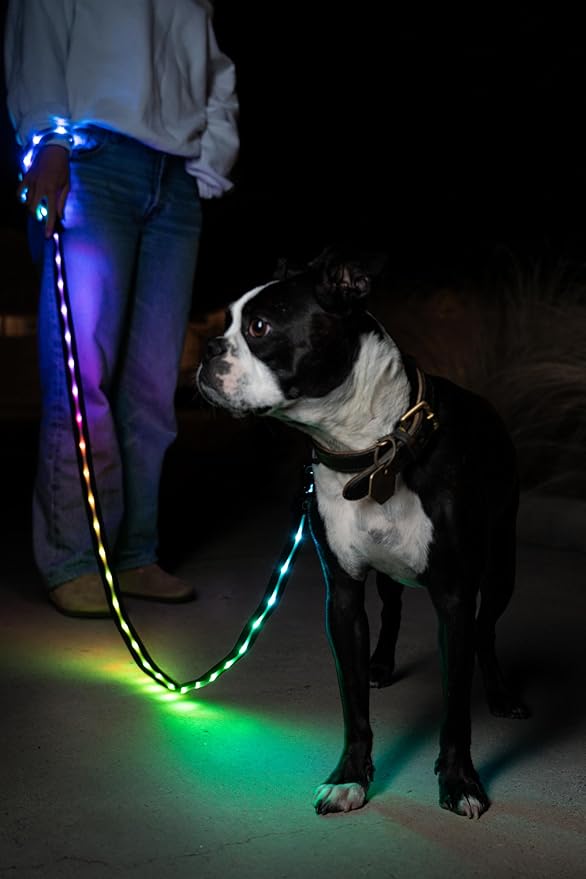 Luminoid LED Dog Leash | 6 ft | USB Rechargeable | 12 Multi-Color Animated Effects | Ultra-Bright LEDs Light-up Leash Keeps You & Dog Safe - by Glowy Zoey