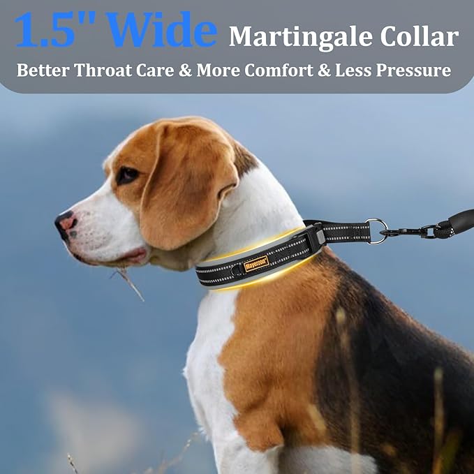 Mayerzon 1.5" Wide Martingale Collar for Large Medium Small Dogs Pitbull German Shepherd, No Pull Reflective Slip & Martingale Dog Collar with Buckle Soft Padded for Walking Training(Seattle Haze, M)