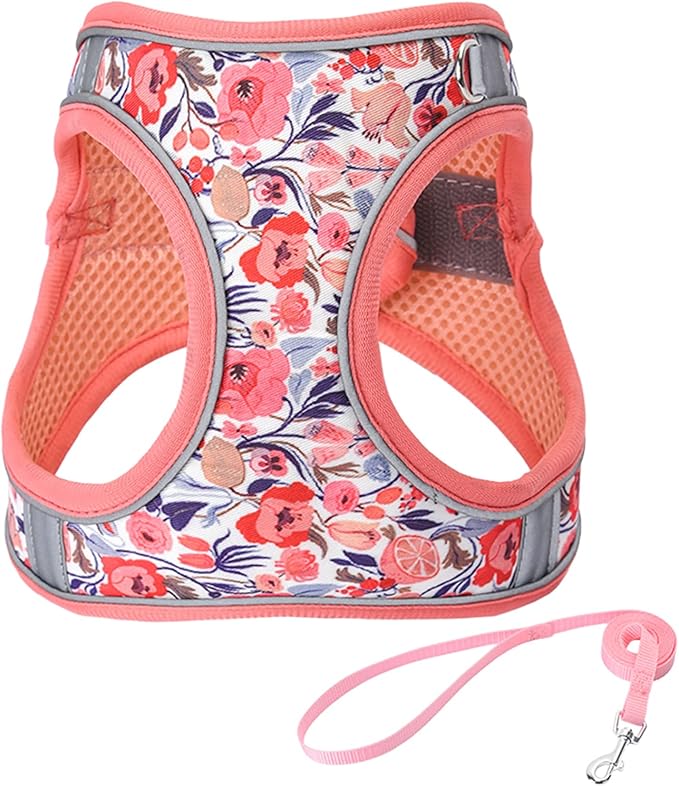 XS Peach Flower Pattern Dog Harness and Leash Set,No Escape Puppy Harnesses for Training Walking，Breathable Adjustable Puppy Vest for Small Medium Dogs, Cats (Peach, XS)