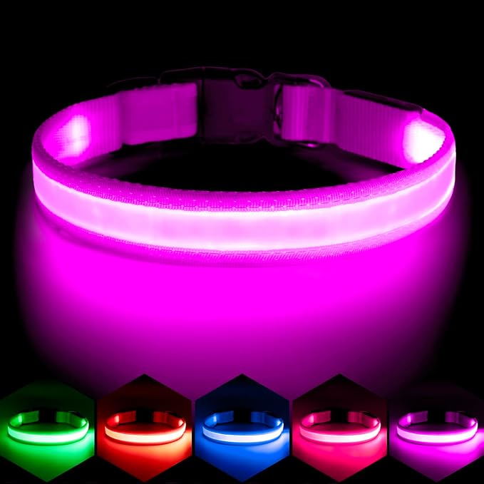 VIZPET LED Dog Collar, Light Up Dog Collar Adjustable USB Rechargeable Super Bright Safety Light Glowing Collars for Dogs (Purple, X-Large[22.83-27.55 inch/58-70cm])