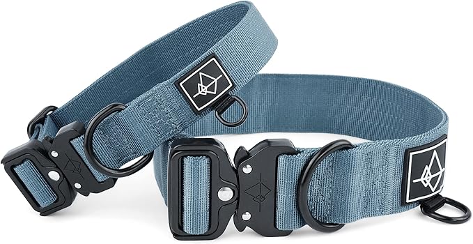 Made to ROAM Premium Dog Collar - Adjustable Heavy Duty Nylon Collar with Quick-Release Metal Buckle (California Horizon, Classic Size 2)
