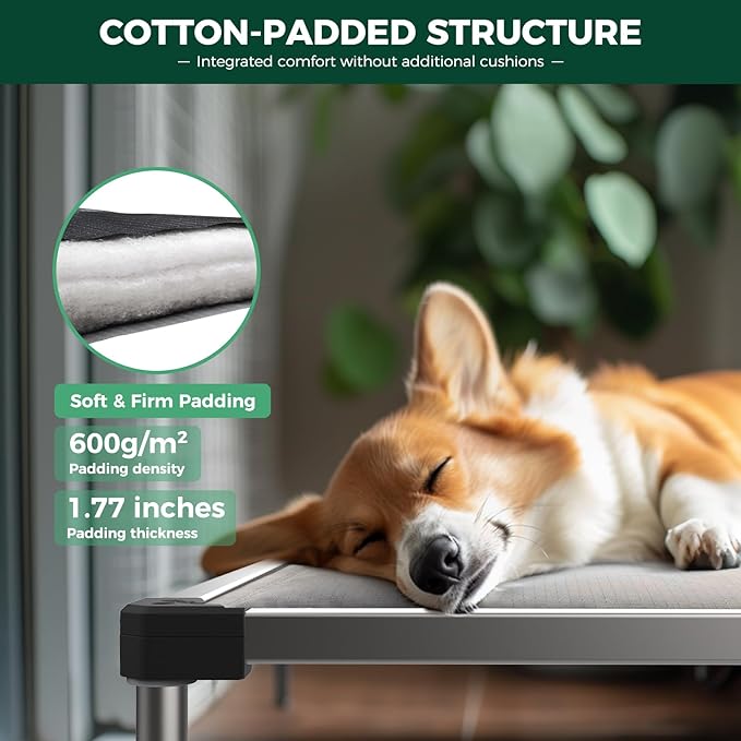 FXW TitanNest Chew-Proof Elevated Dog Bed, Raised Cot for Indoor/Outdoor/Camping Use, Durable & Washable Padded Pet Bed for Toy Dogs, 24.0" L x 20.0" W x 4.1" H, Gray