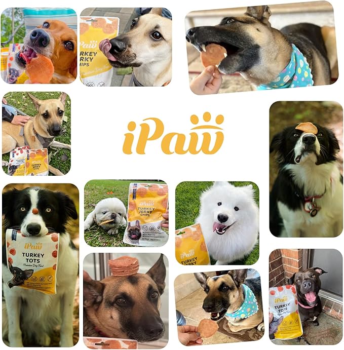 iPaw Turkey Chips Dog Treats for Puppy Training, All Natural Human Grade Dog Treat, Ingredient Sourced from USA, Hypoallergenic, Easy to Digest (Turkey Chips), 3 Packs