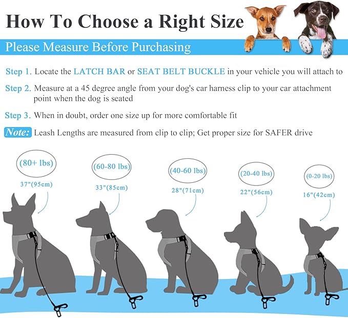 VIVAGLORY Dog Seat Belt Tuffbelt Dog Car Harness, Seatbelt with Clip & Hook for Car Travel, Chew Proof Anti Chew Unchewable Metal Safety Tether Restraint, L, Blue