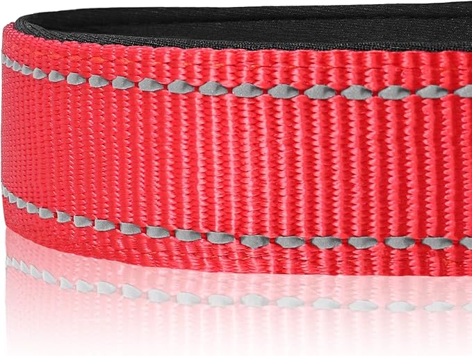 Joytale Reflective Dog Collar, Soft Neoprene Padded, Metal D-Ring, Nylon Pet Collar Adjustable for Puppy and Small Dogs, Red, XS