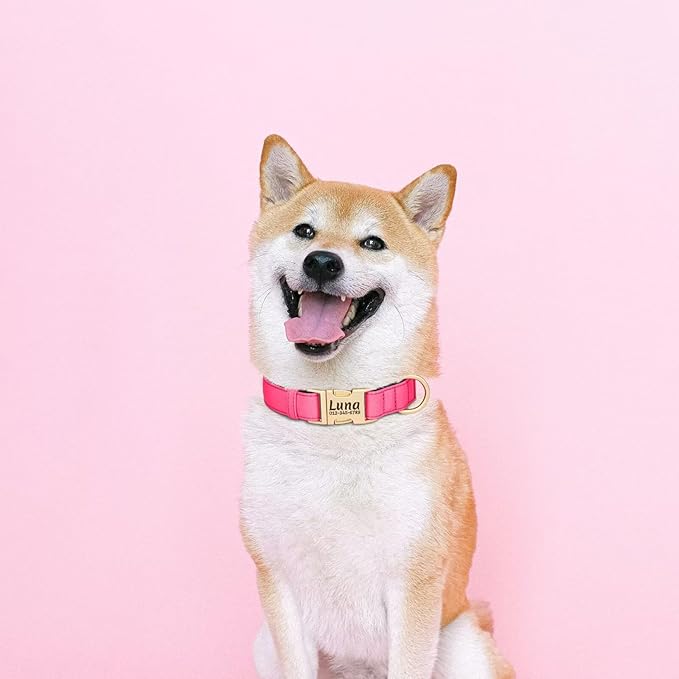 PET ARTIST Personalized Dog Collars, Colorful Pink Custom Dog Collar with Silent Engraved ID Tag, Lightweight Breathable Nylon & Soft Padded, Matching Leash & Poop Bag for Medium Dogs,M Fit 13-20"