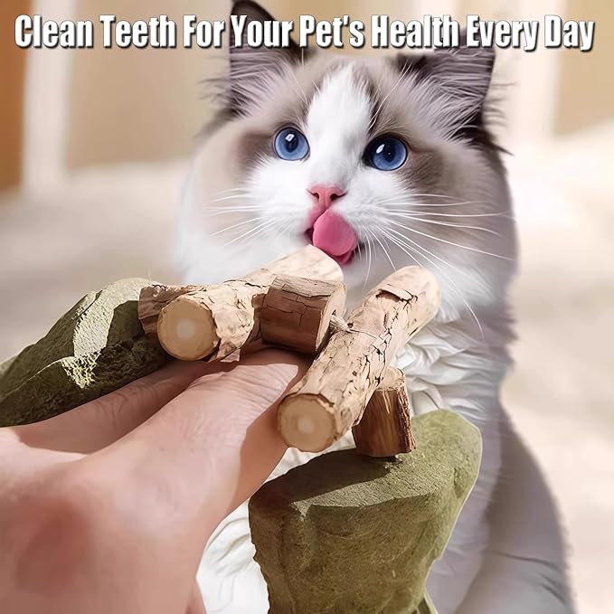 3PCS Cat Dental Toy, Creative Fish Bone Cat Toy, Wooden Catnip Teeth Cleaning Stick, Catnip Fish Bone for Teeth Cleaning, Interactive Kitten Chew Playthings (Mixed Flavors)
