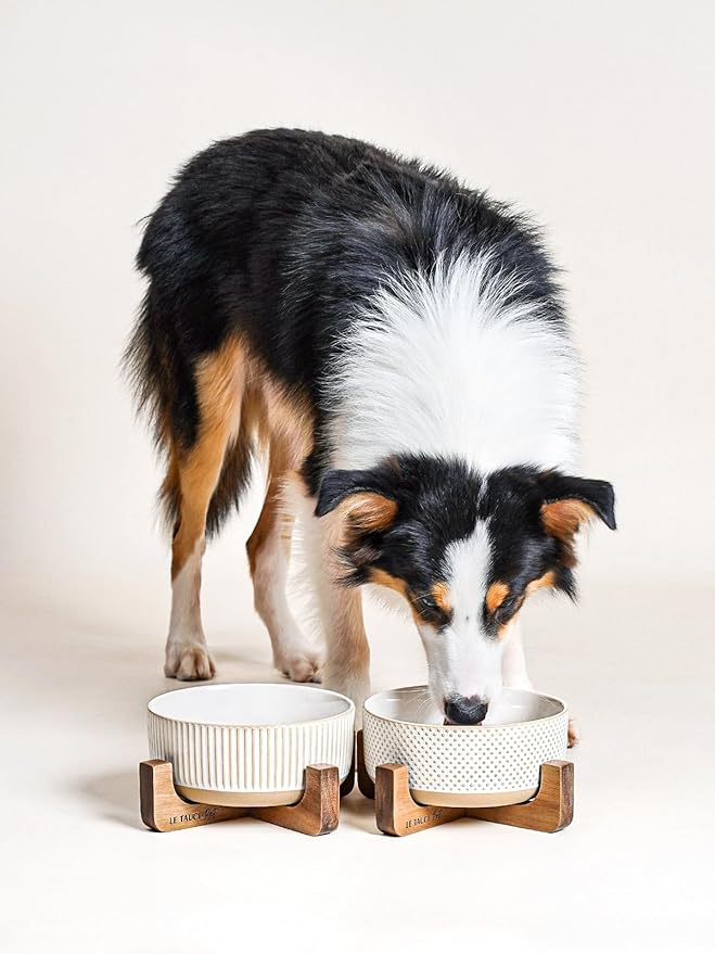 LE TAUCI PET Ceramic Dog Bowls for Medium Large Dogs - 5 Cup Large Dog Food and Water Bowls with Wood Stand, Cute Pet Dishes Set of 2, Lines+Dot