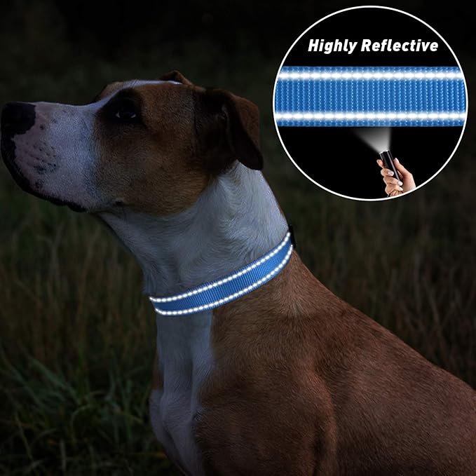 TagME Reflective Nylon Dog Collars, Adjustable Classic Pet Collar with Quick Release Buckle for Large Dogs, Sky Blue, 1.0" Width