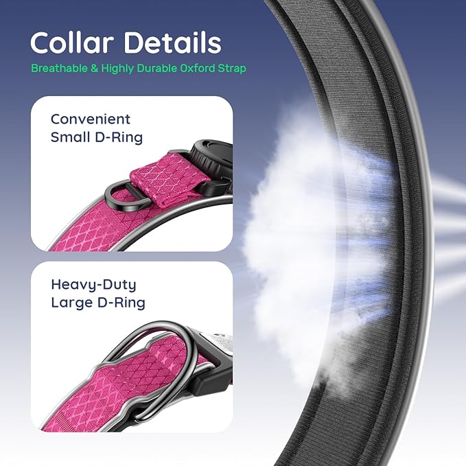 WhoseID Airtag Dog Collar | with Waterproof Air Tag Holder | QR Code Pet ID | Durable Comfortable Oxford Padded | Reflective Collar | for Small Puppy Dogs(Rose,S,10''~16'')