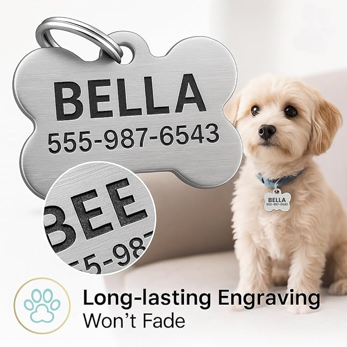Dr. Fremont's Stainless Steel Custom Pet ID Personalized Engraved Identification Cat and Dog Tags with Custom Text, Many Shapes Including Bone, Heart, Circle (Rainbow Stainless Steel, Large Bone)