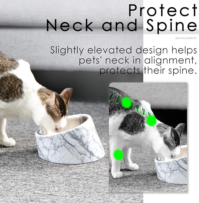 SuperDesign Mess Free 15° Slanted Bowl for Dogs and Cats, Tilted Angle Bulldog Bowl Dog Feeder, Non-Skid & Non-Spill, Easier to Reach Food S/0.5 Cup Marble Pattern