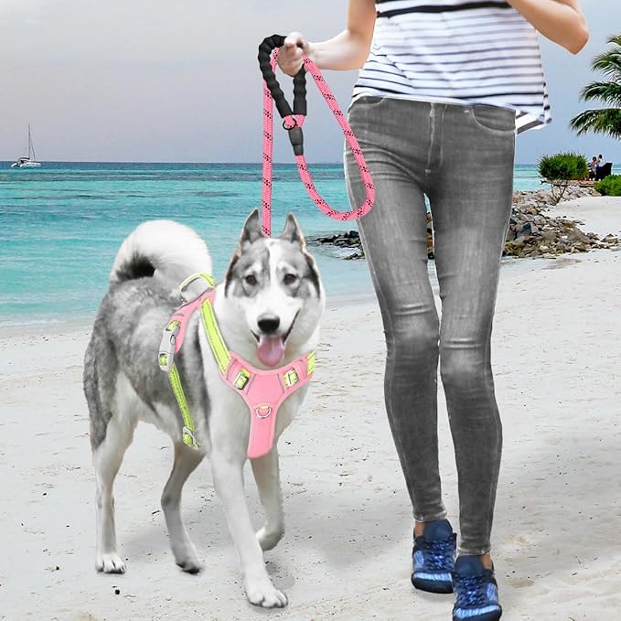 BARKBAY No Pull Dog Harness Large Reflective Dog Harness with Front Clip and Easy Control Handle for Walking Training Running with ID tag Pocket(Baby Pink & Sunlight,M)