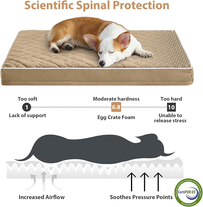 WNPETHOME Orthopedic Big Dog Beds Large Sized Dog, Waterproof Extra Large Dogs Bed with Removable Washable Cover, Multi-Needle Quilting Dogs Crate Bed