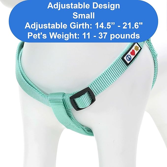 Pawtitas Personalized Dog & Puppy Harness Small Teal Custom ID Tag Adjustable No Pull Vest