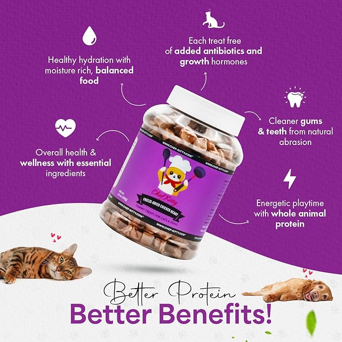 Chef Kitty Freeze-Dried Chicken Heart Treats for Cats & Dogs – 100% Human Grade, Single Ingredient, High-Protein, Healthy Snack – No Additives or Preservatives – 2.6oz - Inspected & Tested in USA