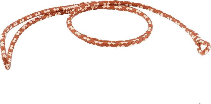 Alvalley Braided Dog Leash with Loop - Handmade Training Lead - Made of Leather - Use with a Slip Collar or Chain - Perfect for Small, Medium and Large Dogs for Walking, Training, and Showing