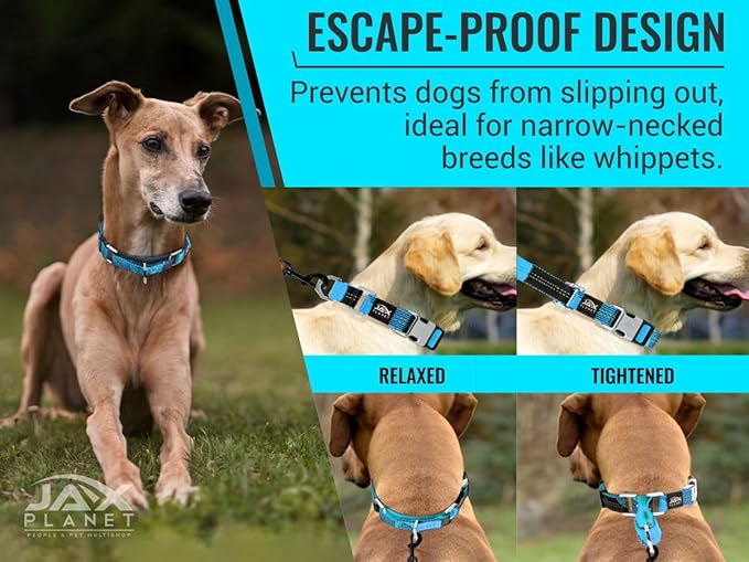 Blue Martingale Collar for Dogs - Heavy Duty Nylon Pet Collars for Escape-Free, No Pull Training & Walking with Alloy Metal Release Buckle & Reflective D Ring, One Time Adjustment, Safe & Secure, S