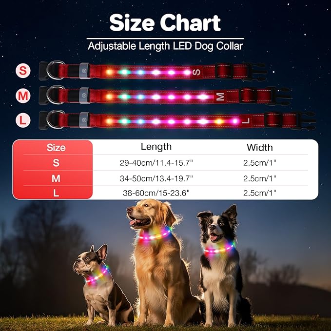 Fiveda Light Up Dog Collar, USB Rechargeable 6 Modes, Waterproof Charging Port, Long Lasting LED Collar - Adjustable Nylon Reflective for Dogs, Sizes S/M/L (7/9/11 Lights) - Red, M
