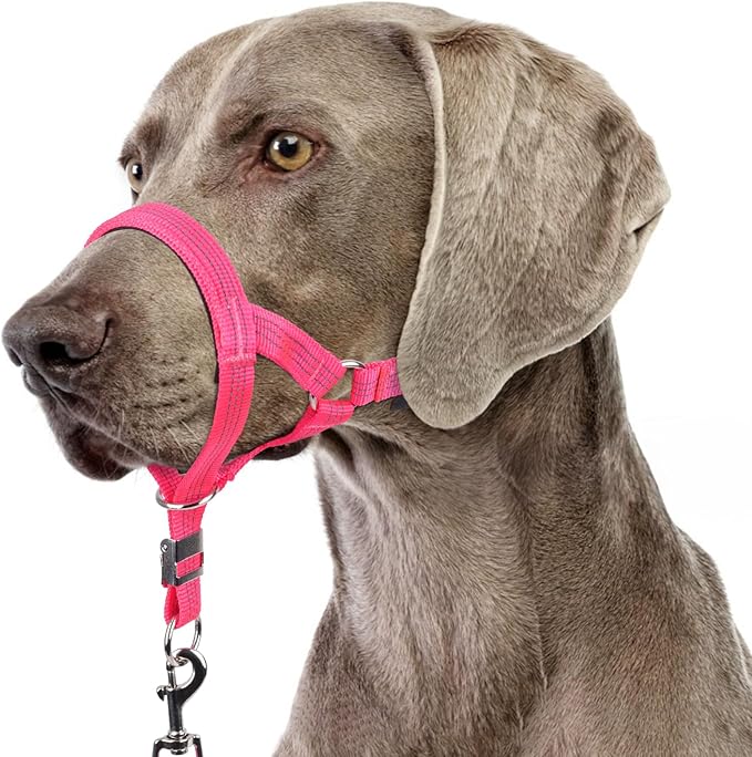 BARKLESS Sturdy No Pull Head Collar for Medium Large Dogs, Gentle Reflective Head Halter with Safety Link, Adjustable Nylon Dog Training Muzzle Leash for Walking Control (Hot Pink, M)