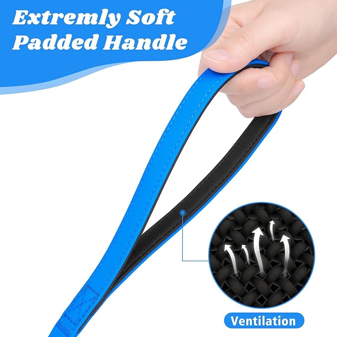 XiaZ Waterproof Long Dog Leash, Recall Training Long Line Lead for Large Medium Small Dogs Outside Walking, Playing, Camping, or Yard (10FT,Blue)