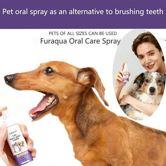 Furaqua Pet Dental Spray, Dog Dental Care Spray, Totol 2.082 Fl Oz Dog Natural Ingredients Extract, Breath Freshener Freshen Breath and Aid in Daily Oral Hygiene, Suitable for Different Pets (2Pcs)