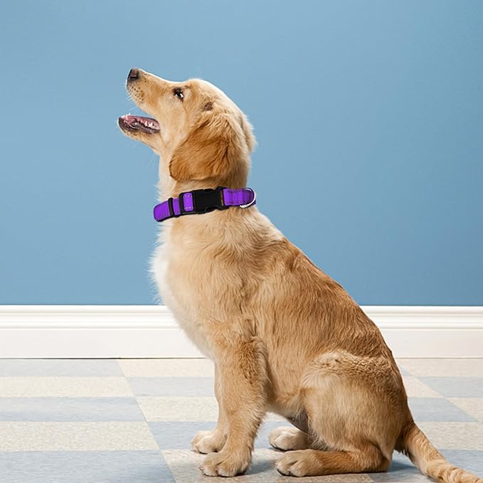 Reflective Dog Collar, Adjustable Soft Neoprene Padded Nylon Pet Collars with Buckle for Large Dogs,L, Purple