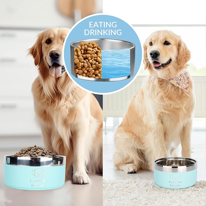 Large Dog Bowl – 50oz – “Feed Me, Human.” – Laser Engraved Non-Slip Stainless Steel Bowl for Large Dogs – Blue