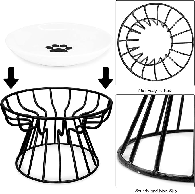 BNOSDM 2 Pcs Raised Cat Food Bowls, Shallow Ceramic Cat Dishes with Metal Stands Elevated Pet Feeder Dry/Wet Food for Indoor Kitten Kitty