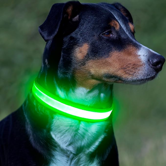 Vizpet LED Dog Collar, Light Up Dog Collar Adjustable USB Rechargeable Super Bright Safety Light Glowing Collars for Dog(Small,Green)