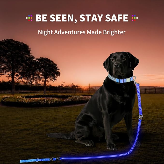 PetIsay Night Walking LED Dog Leash - 6FT Reflective & Waterproof Light Up Safety Leashes for Dogs - USB Rechargeable, Blue