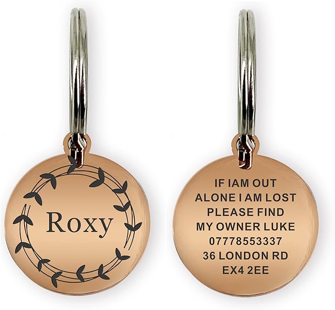 S Champagne Gold Stainless Steel Personalized Dog & Cat Tags - Engraved on Both Sides, Small & Large Sizes, Custom Text