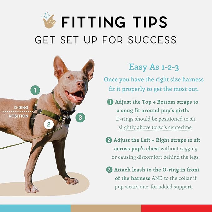Wildebeest No Pull Dog Harness | Comfortable Training Harnesses | Effective No Pull Harness Design | Ideal for Large Sized Dog | 4-Point Adjustable(L - 26~32 inch Girth, Olive)