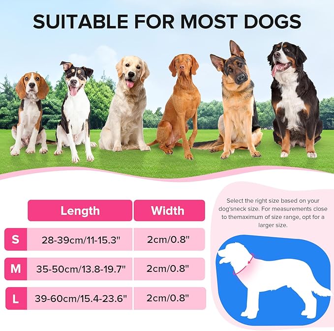 Jewyow Light Up Dog Collar, Adjustable USB Rechargeable Glow in Dark Dog Collar ，Waterproof Dog Collars for Large Dogs (Pink, Large)